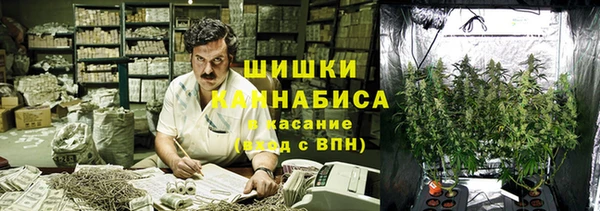 мяу мяу мука Горнозаводск